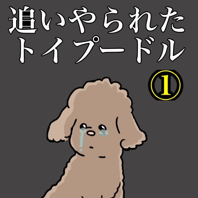 【＃1】追いやられたプードル