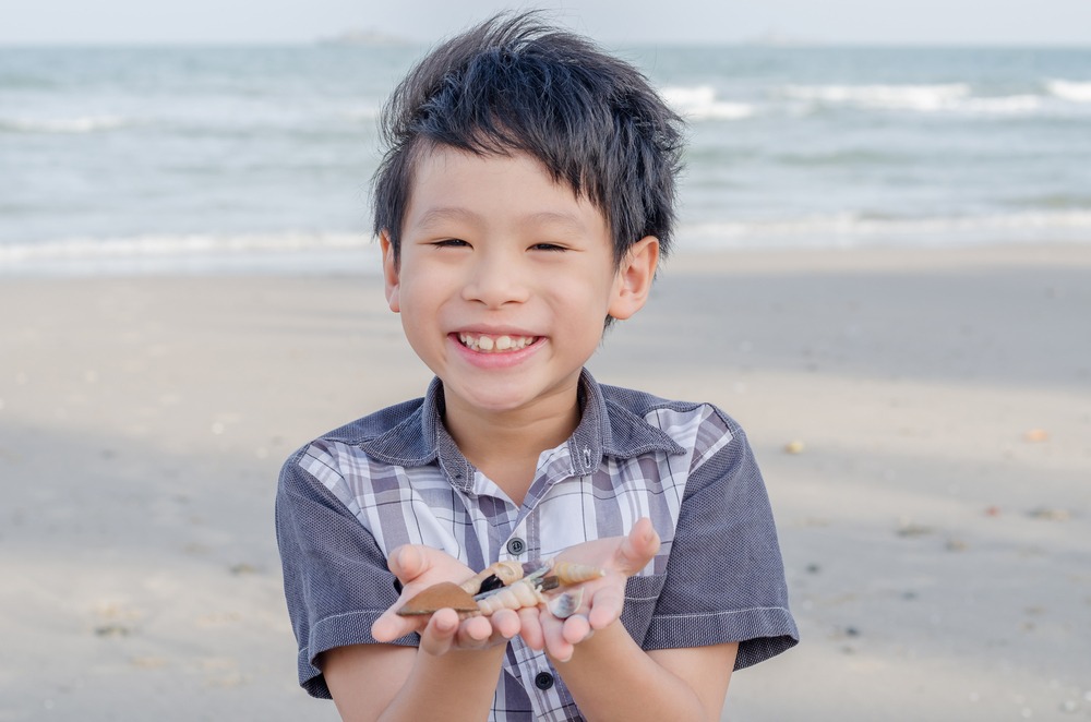 「おにぎりが…！」ピクニック中、鳥に食べられた！？→近くにいた子どもの“優しい行動”にビックリ