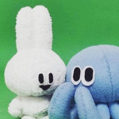 MOREDOORでの実績