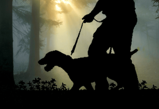 愛犬と夜道を散歩中、建物裏に人影が！？恐る恐る近づくと…→愛犬の思わぬ反応に「笑った」