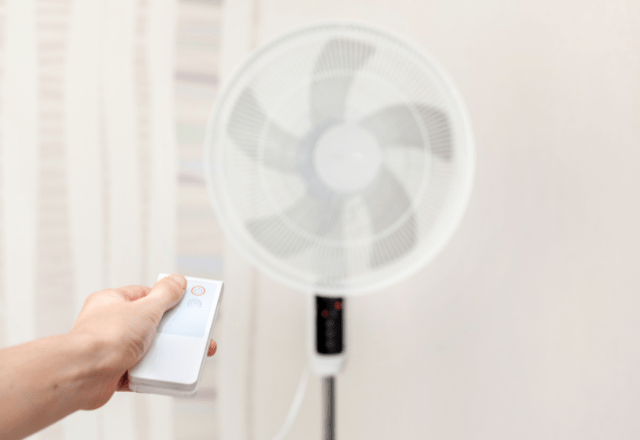 扇風機の前に座る柴犬　涼むときの”人間味ある仕草”に…→「家族全員で大笑い」「可愛すぎる」