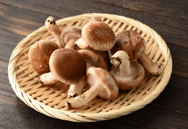 夏休みに「祖父のしいたけ栽培」を手伝った8歳の娘　思い出を綴った作文が”驚きのニュース”に「胸いっぱい」